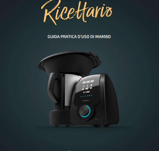 Manuale 10070